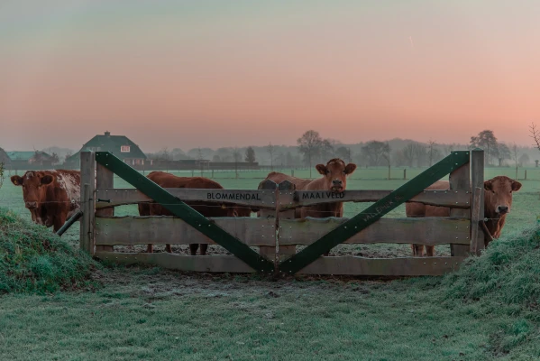 Afbeelding Boerderijwinkel ‘De Deel’