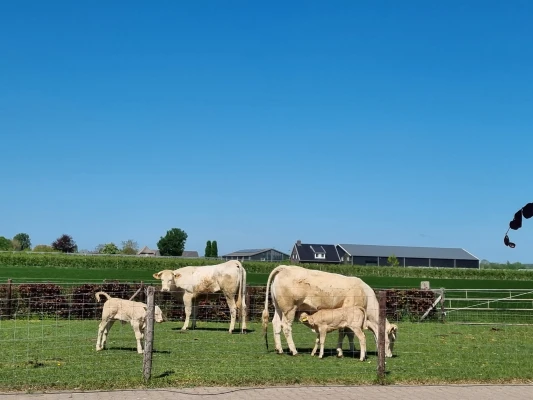 Afbeelding Eetvandeboer.nl | Boerderij Hoogenraad