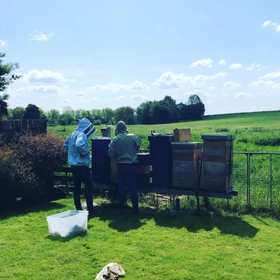 Afbeelding I am Happy Bee