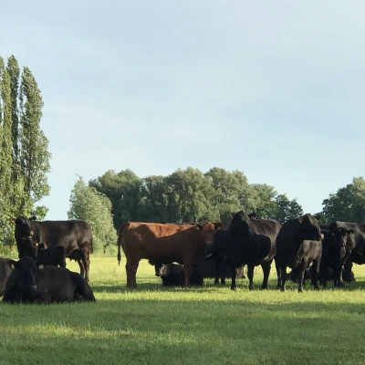 Afbeelding Neder-Oudland farm